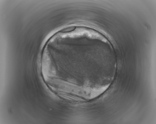 X0000112801522200910021110