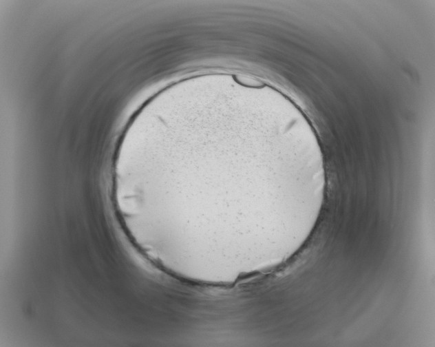 X0000112801523200910021110