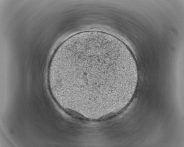 X0000112801525200910021110