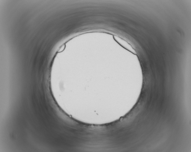 X0000112801526200910021110