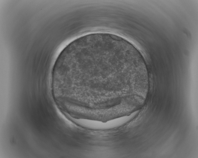 X0000112801527200910021110