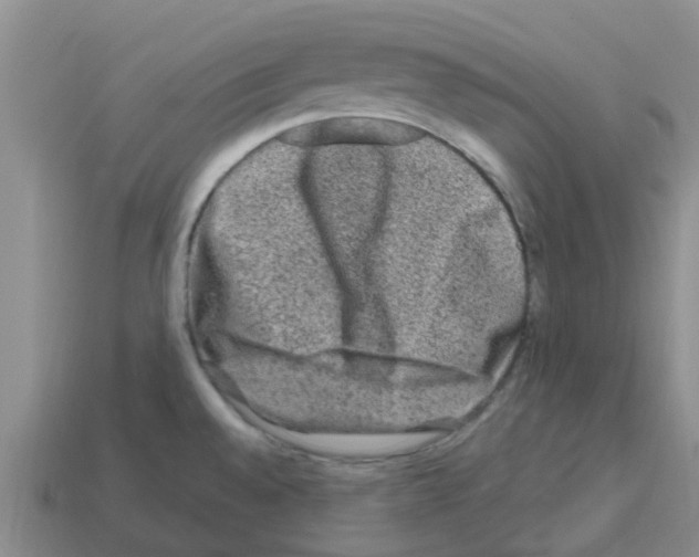 X0000112801528200910021110