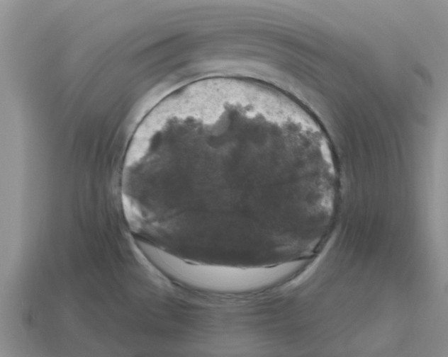 X0000112801529200910021110