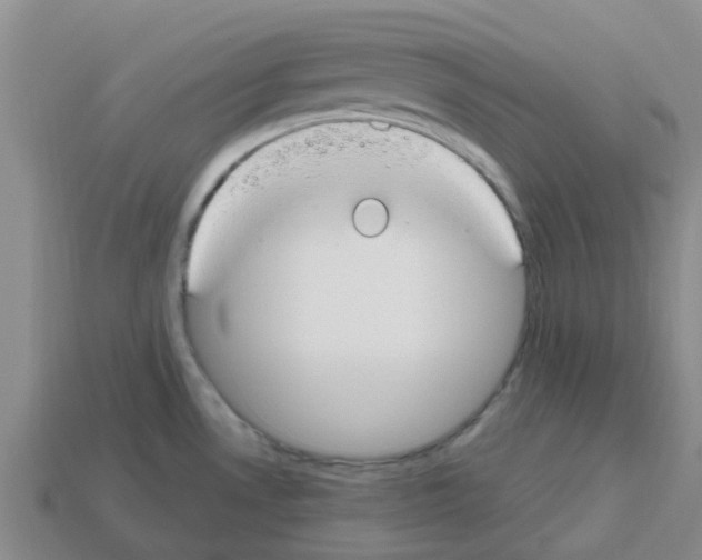 X0000112801530200910021110