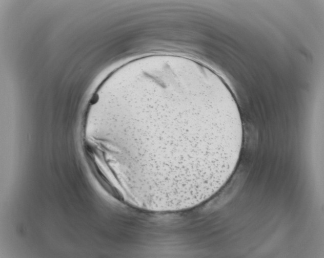 X0000112801531200910021110