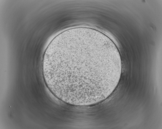 X0000112801532200910021110