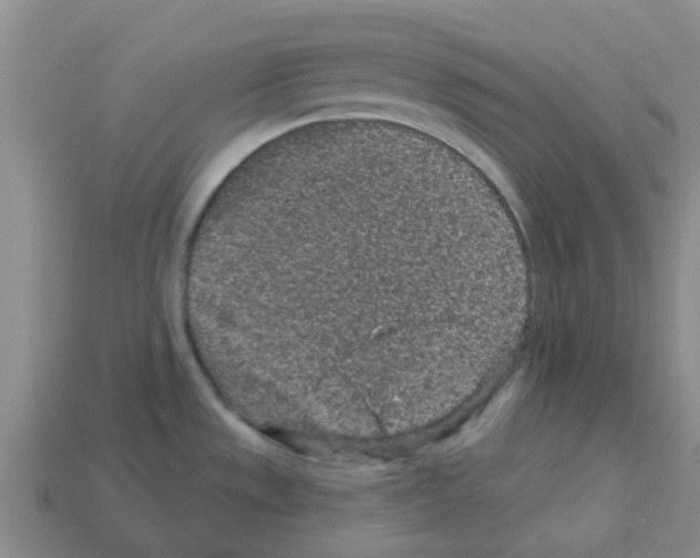 X0000112801533200910021110