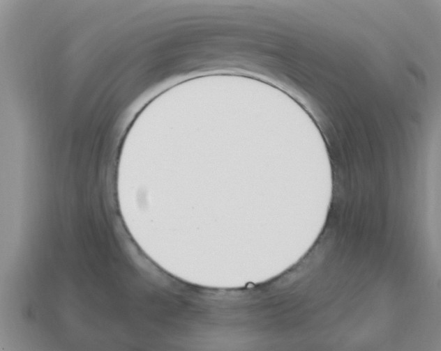 X0000112801534200910021110