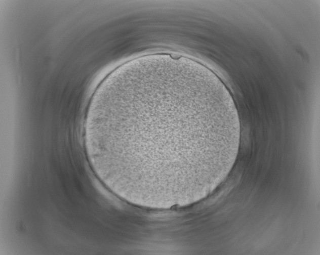 X0000112801535200910021110