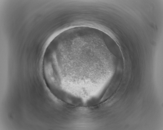 X0000112801536200910021110