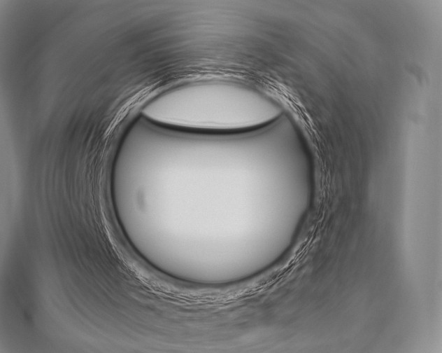 X0000112810001200908210948