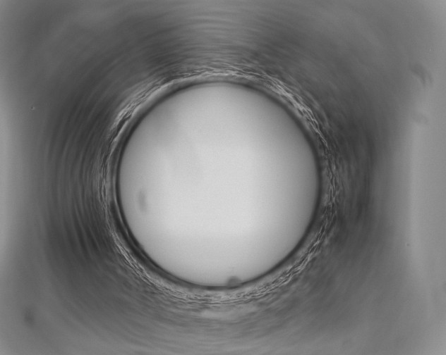 X0000112810002200908210948