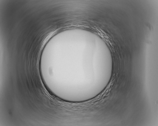 X0000112810003200908210948