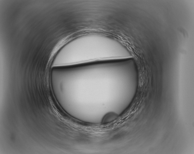X0000112810004200908210948