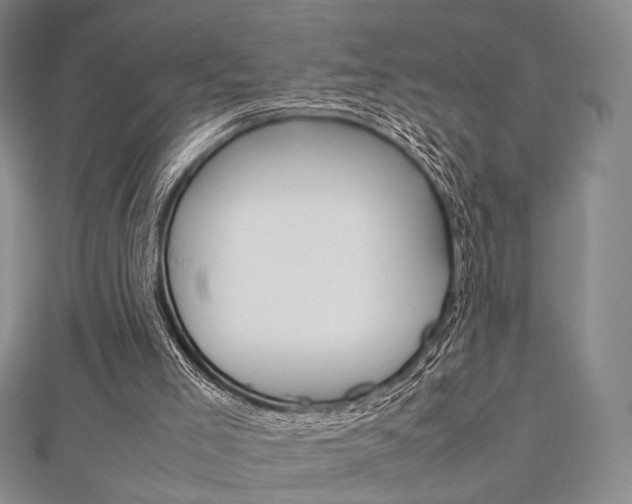 X0000112810005200908210948