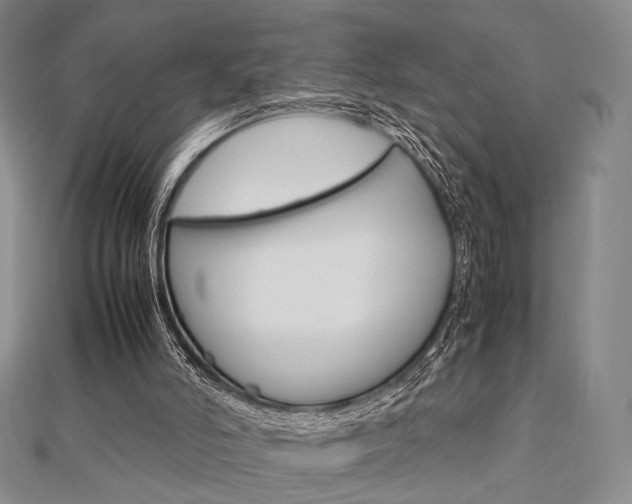 X0000112810006200908210948