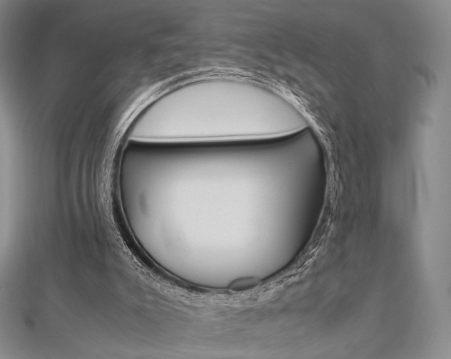 X0000112810007200908210948