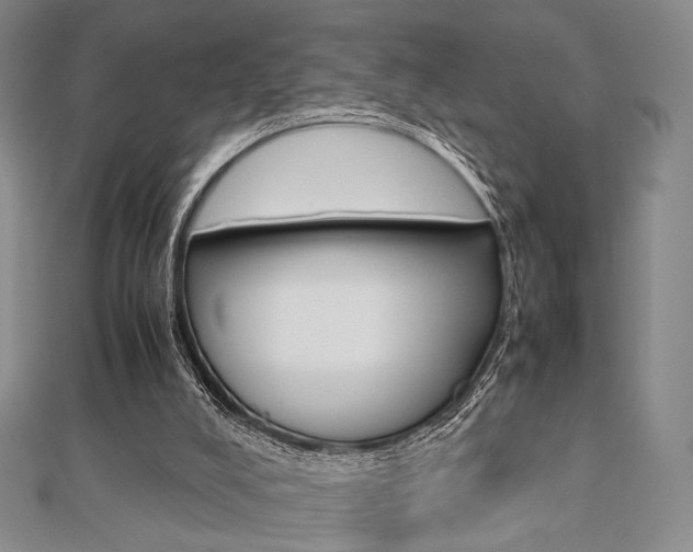 X0000112810008200908210948