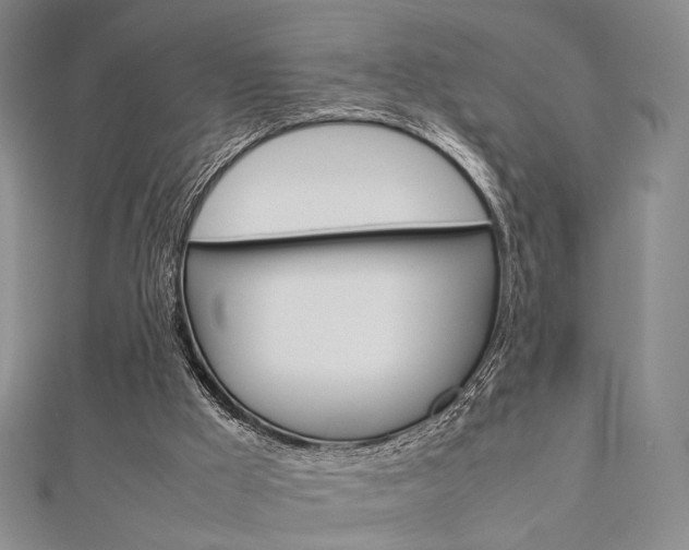 X0000112810009200908210948