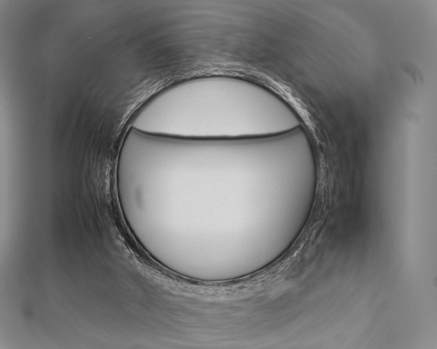 X0000112810010200908210948
