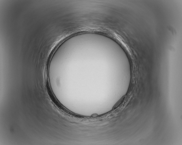 X0000112810011200908210948