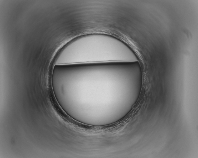 X0000112810012200908210948