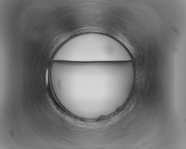 X0000112810014200908210948