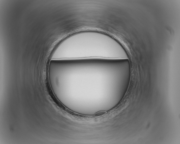 X0000112810015200908210948