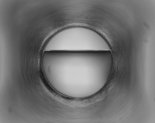 X0000112810016200908210948