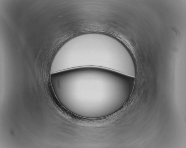 X0000112810017200908210948
