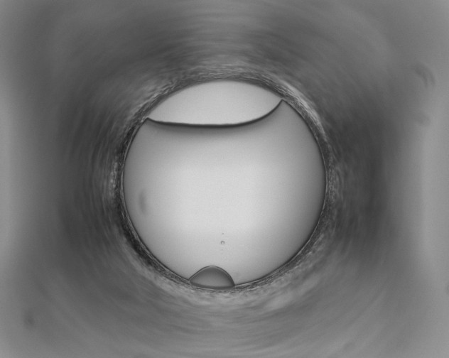 X0000112810018200908210948