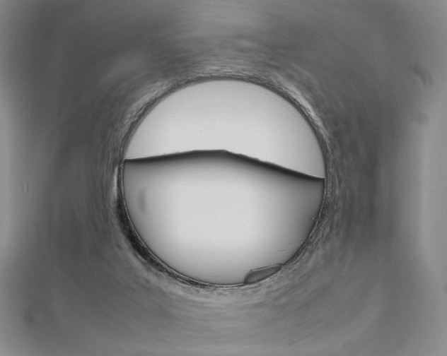 X0000112810019200908210948