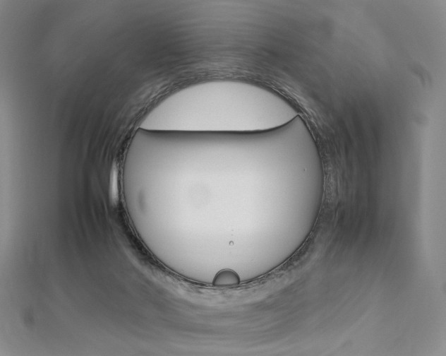 X0000112810022200908210948