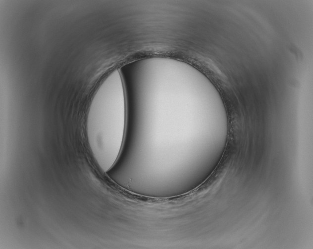 X0000112810024200908210948