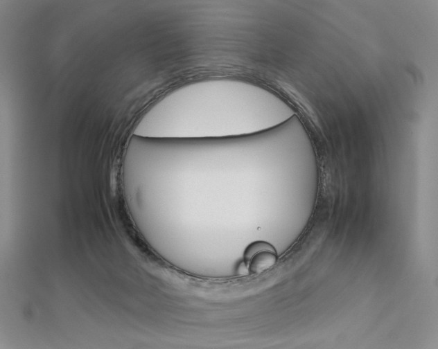 X0000112810026200908210948