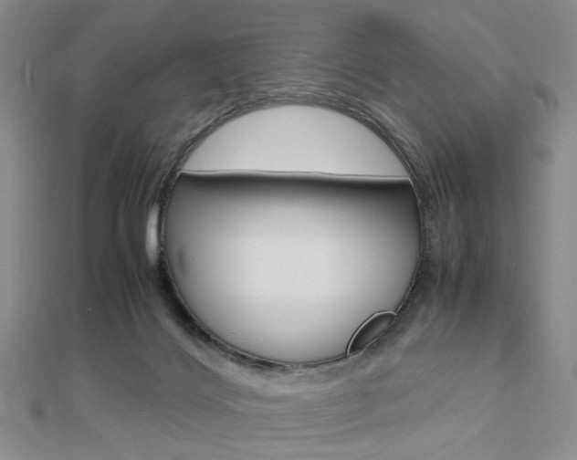 X0000112810028200908210948