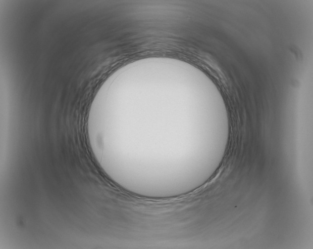 X0000112810029200908210948