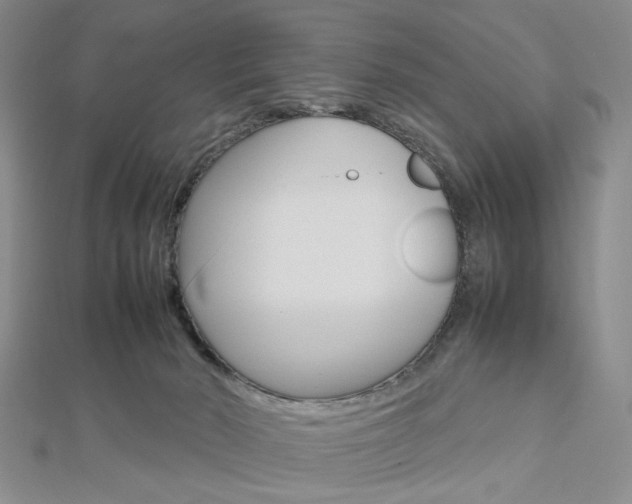 X0000112810030200908210948