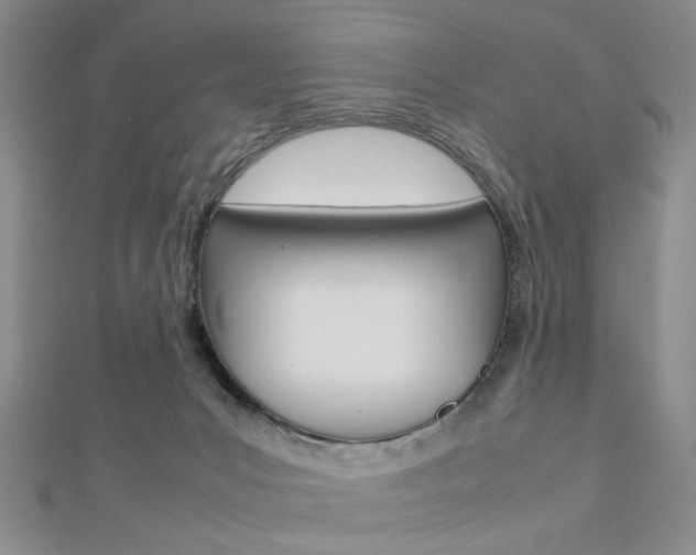 X0000112810031200908210948