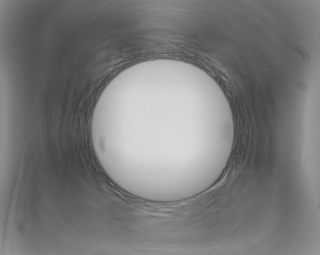 X0000112810033200908210948