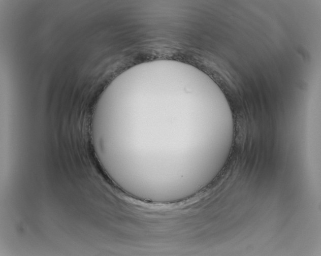 X0000112810034200908210948