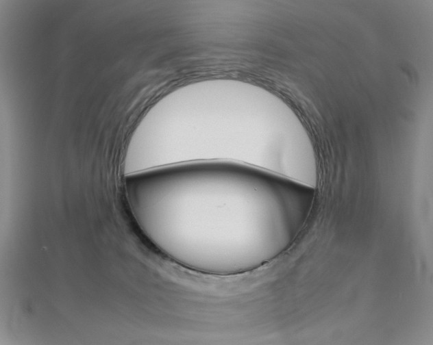 X0000112810035200908210948
