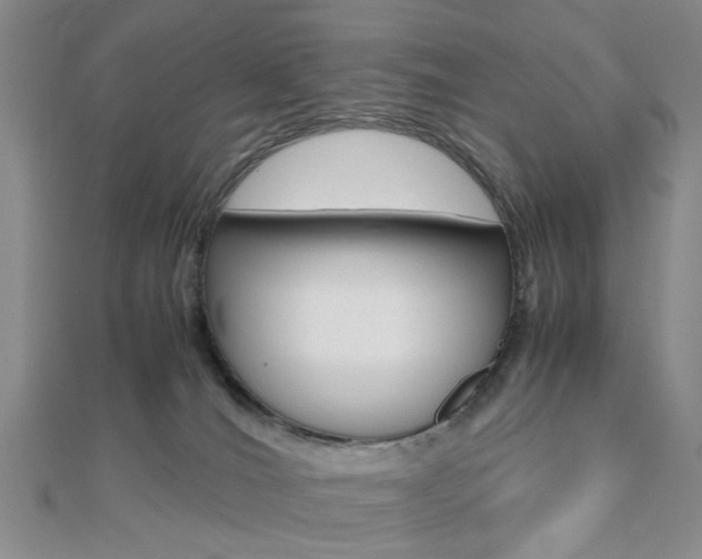 X0000112810036200908210948