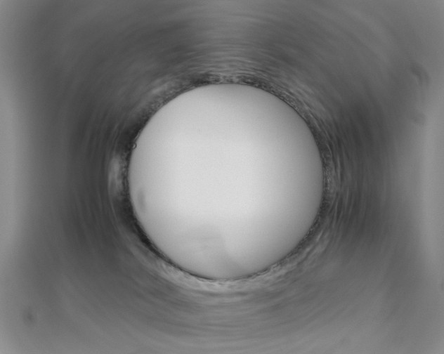 X0000112810038200908210948