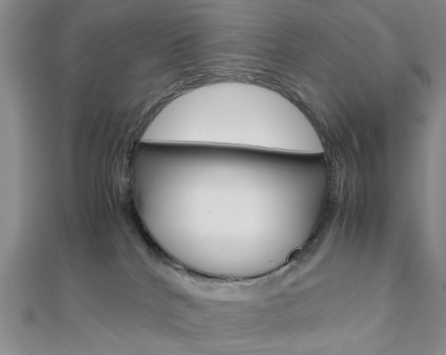 X0000112810040200908210948