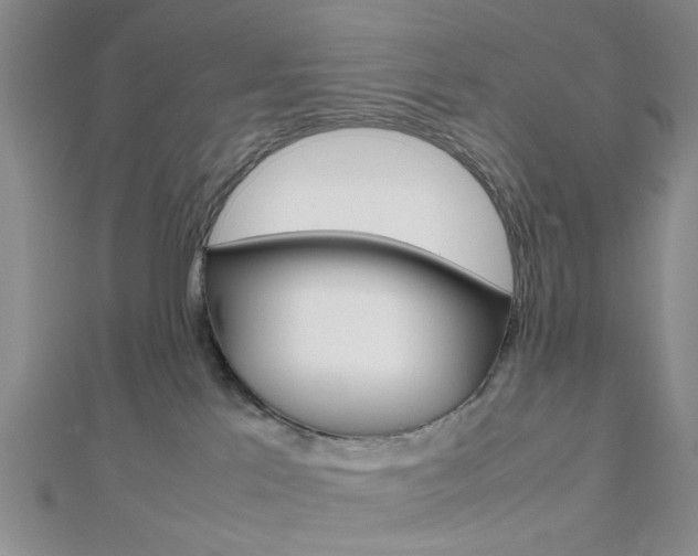 X0000112810041200908210948