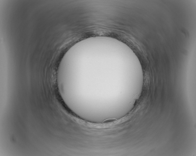 X0000112810043200908210948