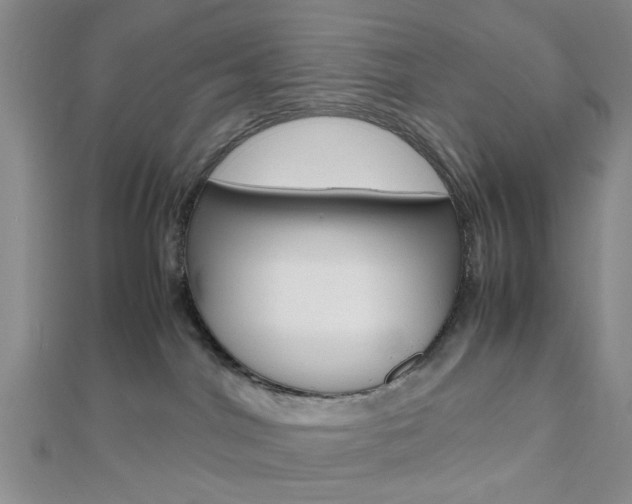 X0000112810044200908210948