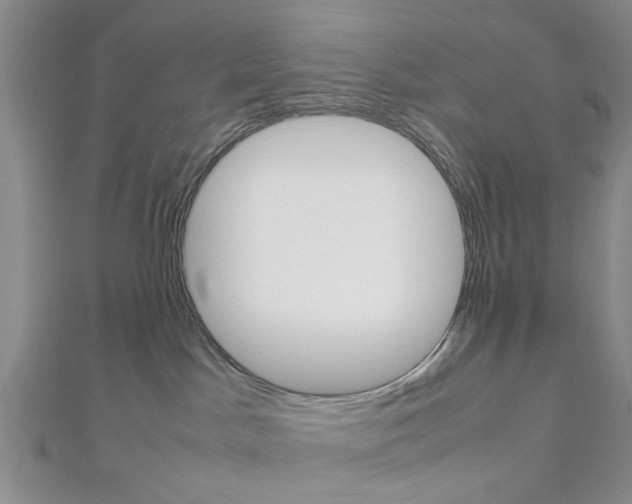 X0000112810045200908210948