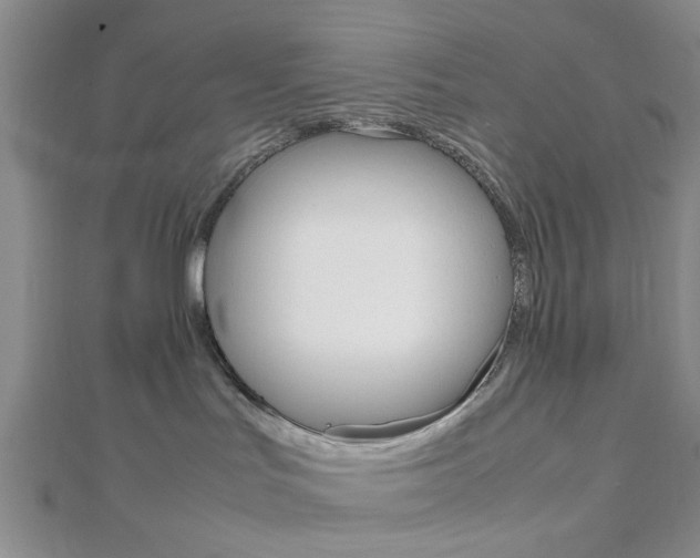 X0000112810047200908210948